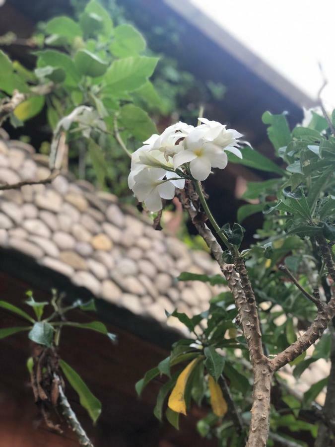 Hotel Melati Bali 2 Canggu Esterno foto